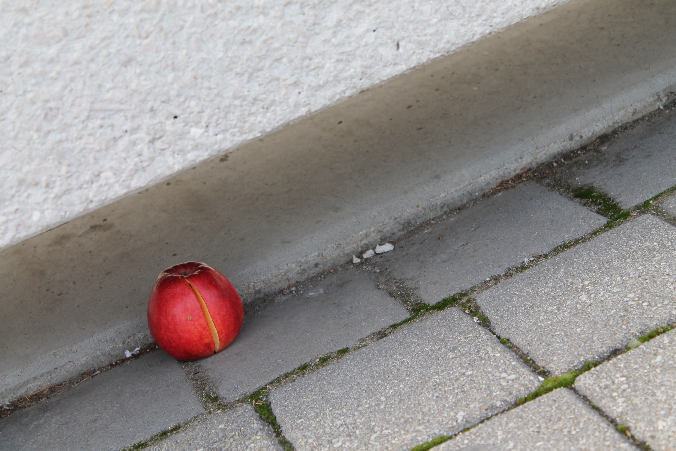 a red apple beneath a stone bench at Purdue University, Main Campus