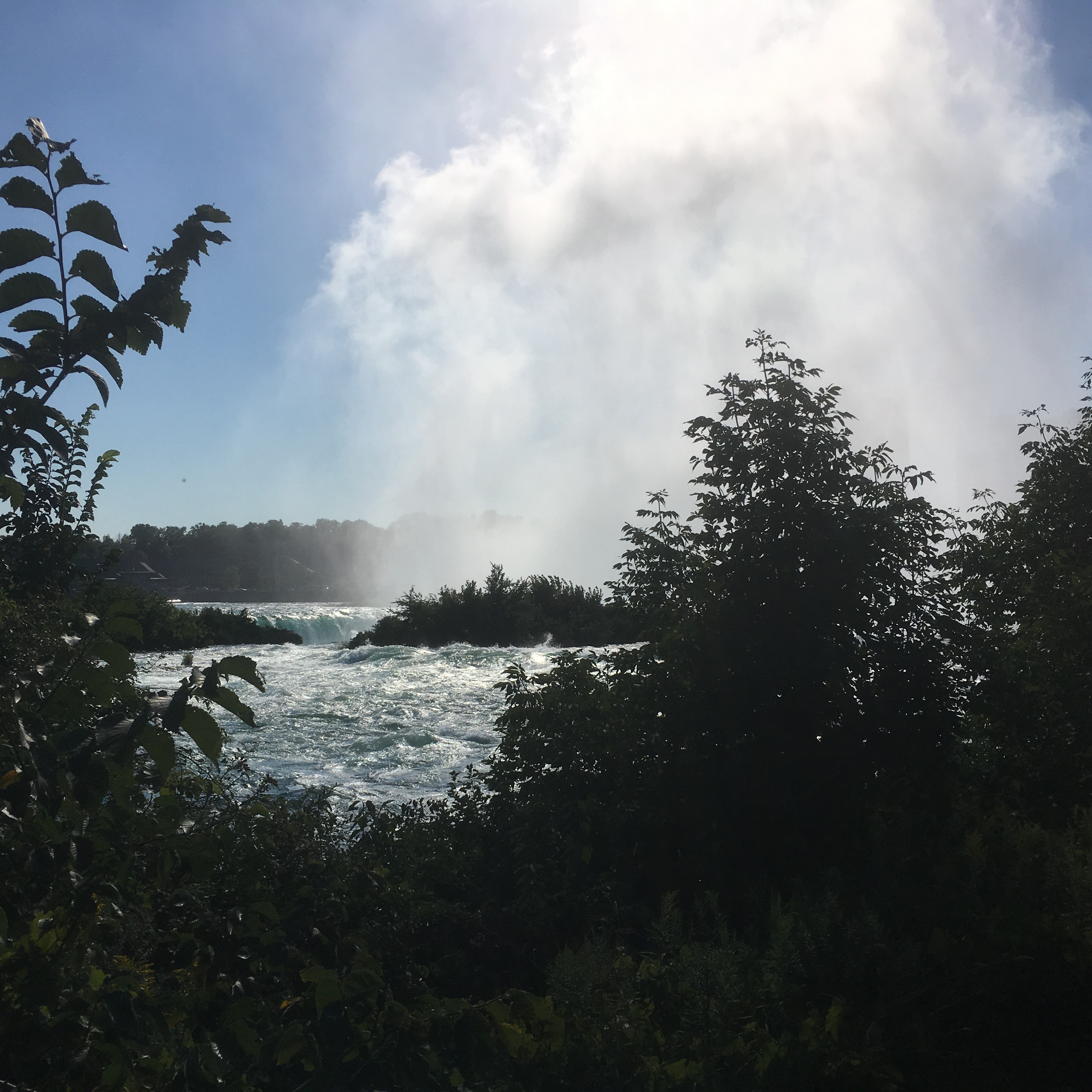 water from Niagara Falls splashing high between a clearing of brush, 2016