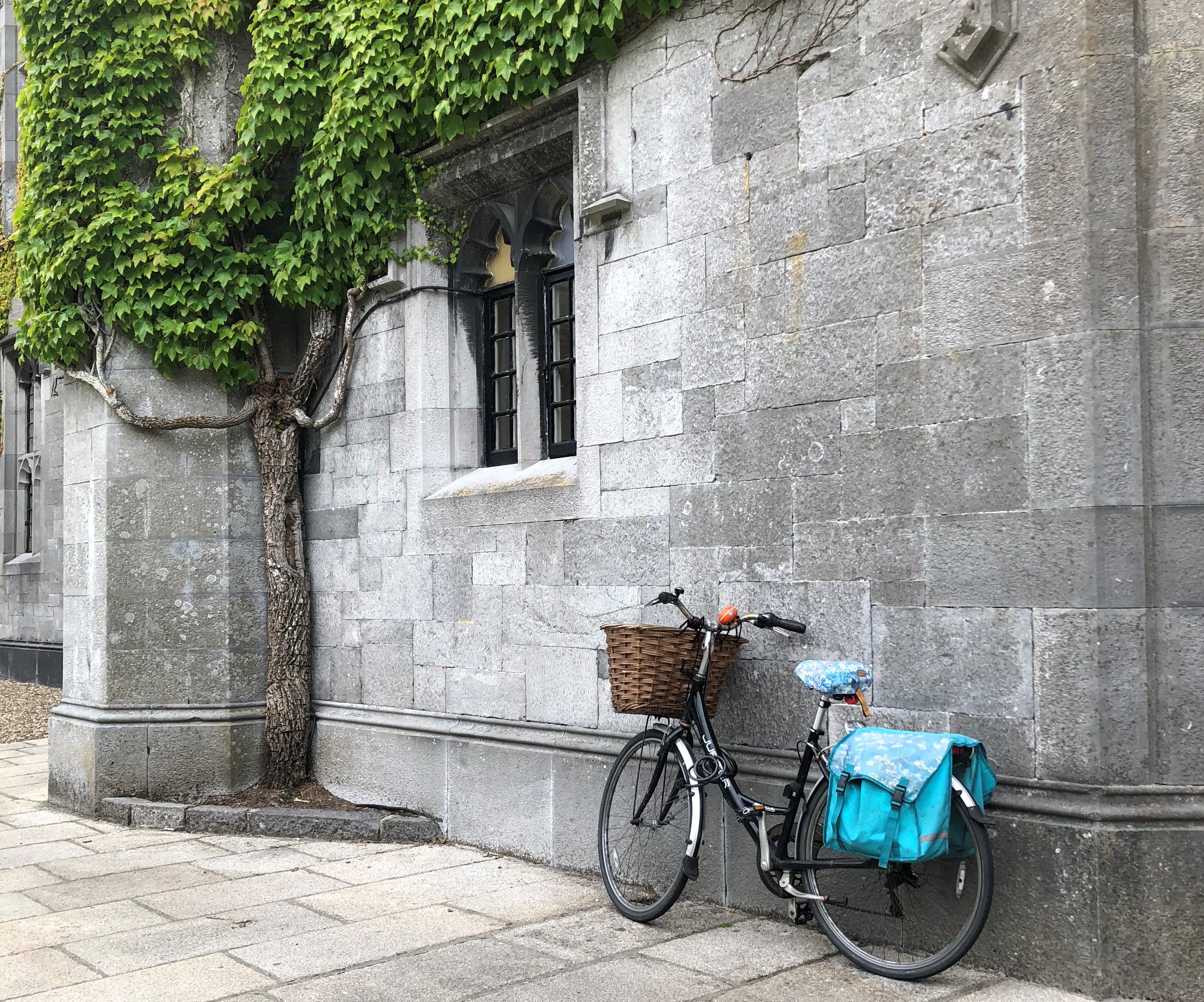 blue bike with a basket leaning against a stone wall